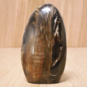 Bois Fossilisé ou Bois Pétrifié (Xyloïde)