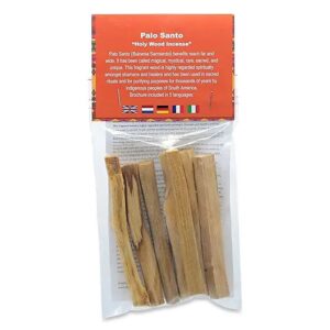 Encens Palo Santo Bois Saint 40g