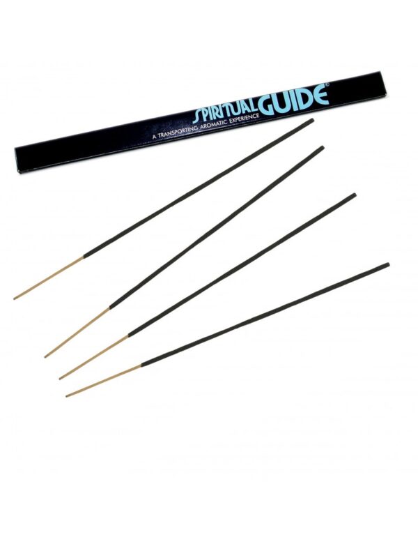 Encens Spiritual Guide 10g 8 sticks Padmini – Image 3