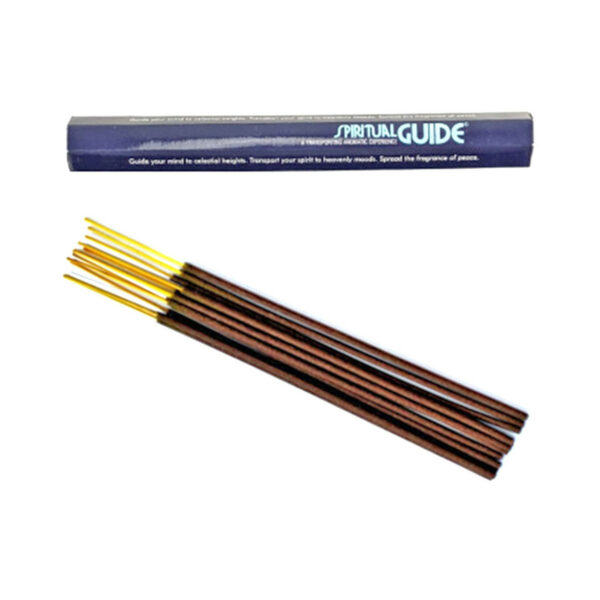 Encens Spiritual Guide 20g  Padmini hexagonale